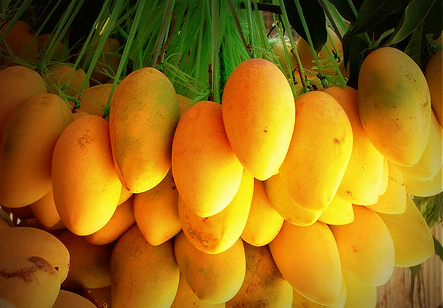 Some Philippine mangoes. I wrote a story that made my classmates say, "I'll think of this story whenever I eat a mango." Photo from agritoursph.wordpress.com